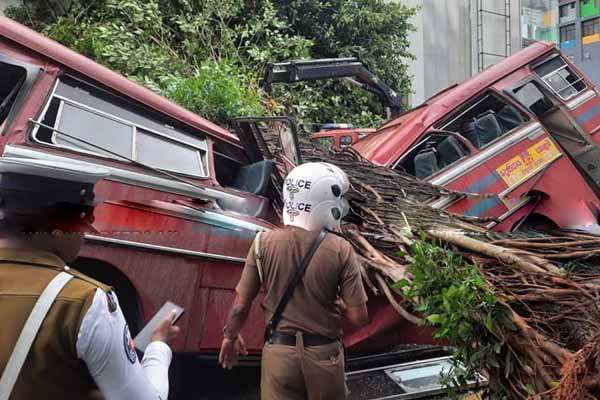 பேரூந்து மீது வீழ்ந்த மரம் 5 பேர் பலி