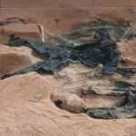 கொக்குத்தொடுவாய் மனித புதைகுழி 6 உடற்பாகங்கள் மீட்பு