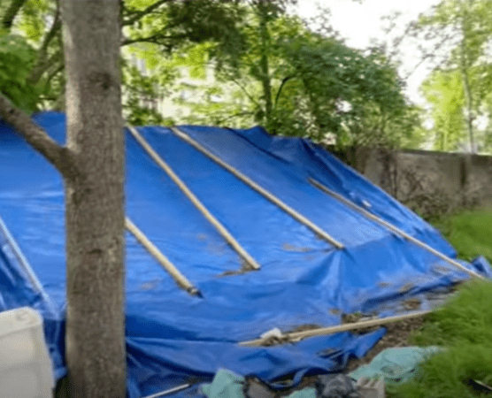 பிரான்சில் வீதியில் உறங்கும் தமிழர்கள்