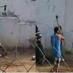 தங்கையை கோடாரியால் வெட்டிய அண்ணன்