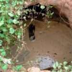 குழிக்குள் விழுந்த இருசிறுவர்கள் பலி