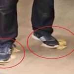காலில் பணத்தை மிதித்தவருக்கு விடுதலை