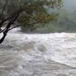 அவசர எச்சரிக்கை