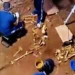 துறைமுகத்தில் 5 மனித எச்சங்கள் மீட்பு